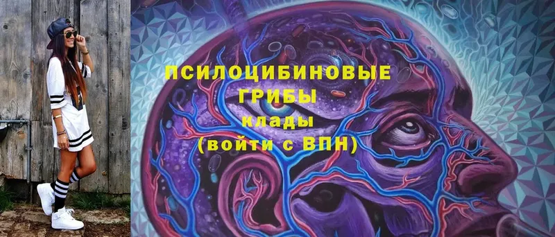 Галлюциногенные грибы MAGIC MUSHROOMS  Полтавская 